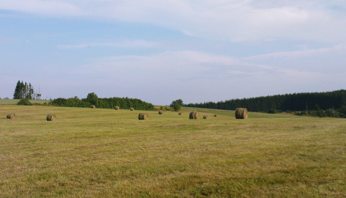 Ökologische Landwirtschaft